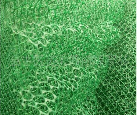 ���Sֲ���W